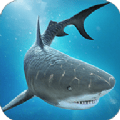 鲨鱼大战鳄鱼(Shark vs Crocodile Fight)游戏安卓下载免费