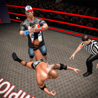 摔跤战斗进化3DWrestling Fight Revolution 3Dapk下载手机版