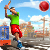 街头板球锦标赛Street Cricket2022免费版