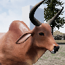 快乐犀牛模拟器Happy Rhino Simulator最新手游app