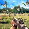 猎鸭射击模拟器(Duck Hunting challenge)apk游戏下载