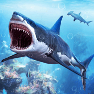 大白鲨生存模拟器(White Shark Attack Mission 3D)最新游戏app下载