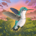 鸟类世界下载安卓最新版