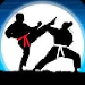 空手道战士真正的格斗Karate Fighter免费手机游戏下载