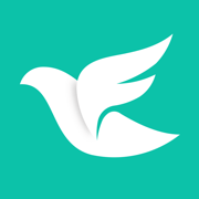 飞鸽互动app下载安装最新版下载