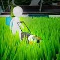 草坪粉碎机(Lawn Crusher)安卓游戏免费下载