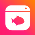 鱼鱼末盒免费下载手机版